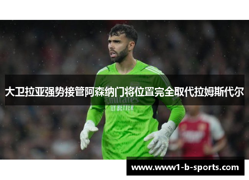 大卫拉亚强势接管阿森纳门将位置完全取代拉姆斯代尔 大卫拉亚强势接管阿森纳门将位置完全取代拉姆斯代尔
