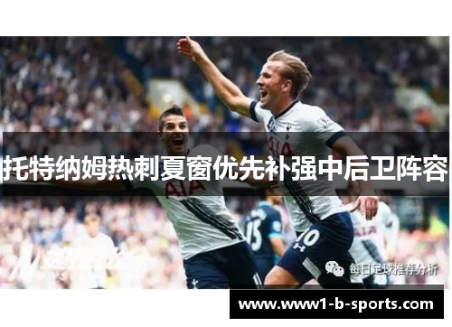 托特纳姆热刺夏窗优先补强中后卫阵容